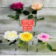 Искусственные МИКС розы ZT 141 1/20/600
