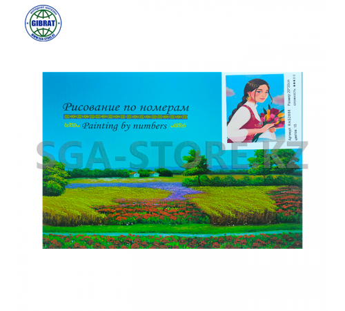 Рисование по номерам 20*30см