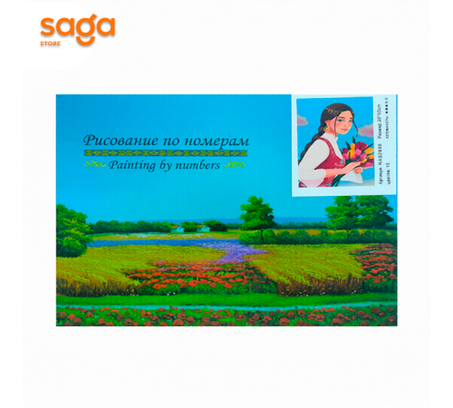 Рисование по номерам 20*30см 1/50