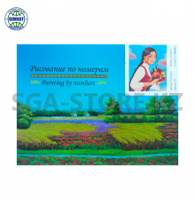 Рисование по номерам 30*40см