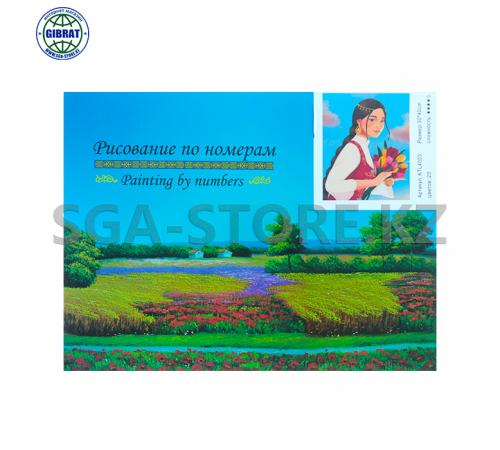 Рисование по номерам 30*40см