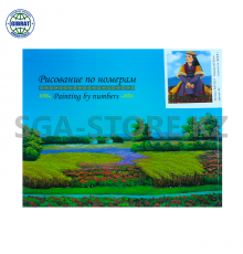 Рисование по номерам 40*50см