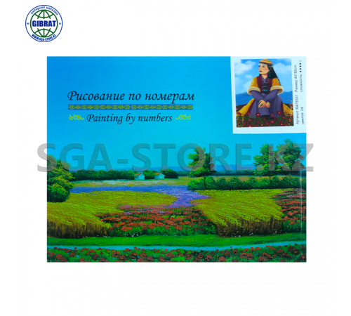 Рисование по номерам 40*50см