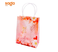 Пакет подарочный прозрачный HL- 1001 S (24.5*19.5*9.5см)  1/12/576