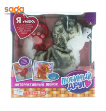 Собака в коробке 1439-2