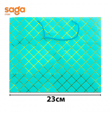 Пакет бумажный 23х18х10см