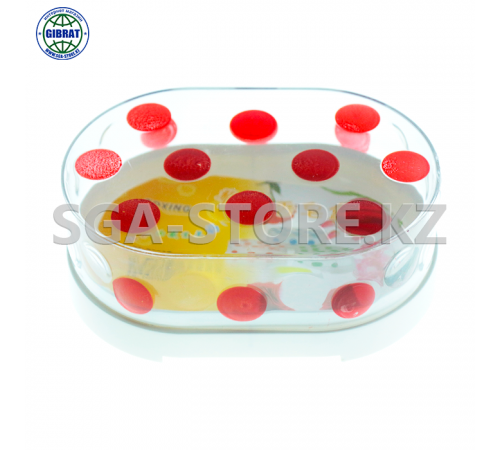 Мыльница 5169.