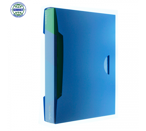 Файл пластиковый "Портфолио", с вкладышами, А4, 100л.