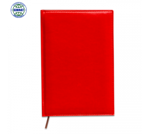 Ежедневник датированный, А5, в линейку, YL-JMB555.