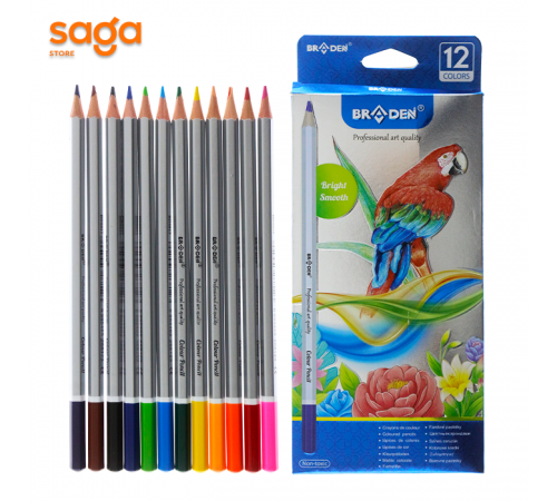 Карандаш цв Braden 8012-12