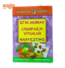 СОБИРАЕМ УРАЖАЙ, 24 штук, 2936-22