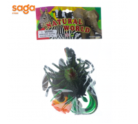 Животные Паук 8.