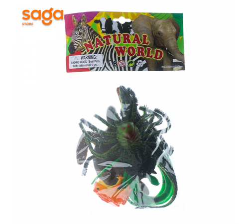 Животные Паук 8.