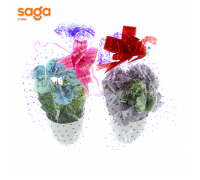 Цветок в гаршке 3254