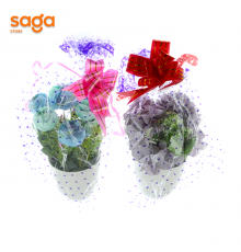 Цветок в гаршке 3254