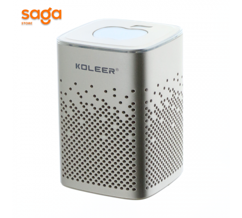 Колонка KOLEER S818.