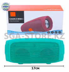 Колонка "CHARGE 3+" 5297