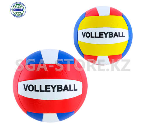 Мяч волейбольный 123