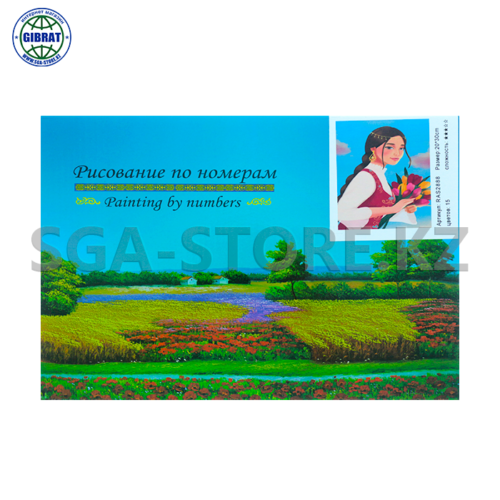 Рисование по номерам 20*30см